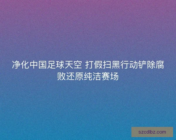 净化中国足球天空 打假扫黑行动铲除腐败还原纯洁赛场