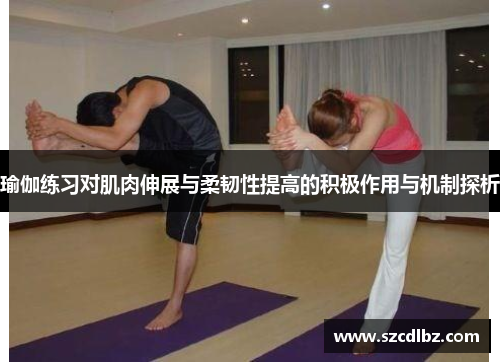 瑜伽练习对肌肉伸展与柔韧性提高的积极作用与机制探析
