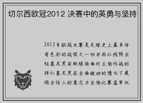 切尔西欧冠2012 决赛中的英勇与坚持