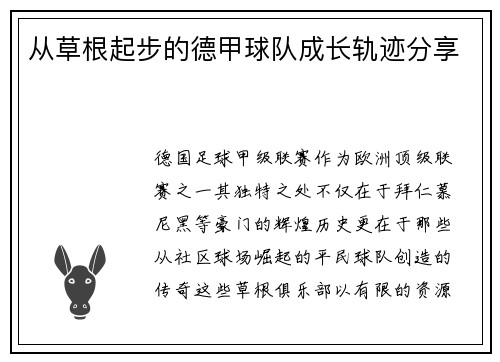 从草根起步的德甲球队成长轨迹分享