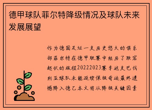 德甲球队菲尔特降级情况及球队未来发展展望