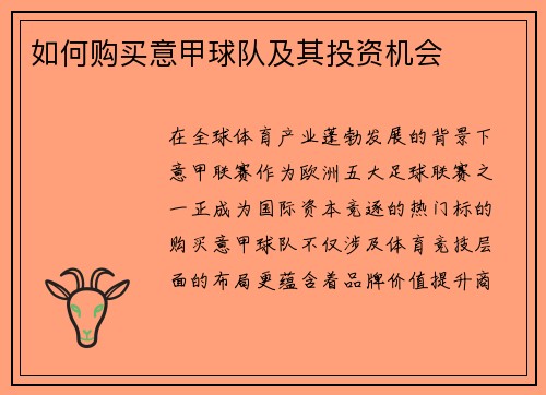 如何购买意甲球队及其投资机会